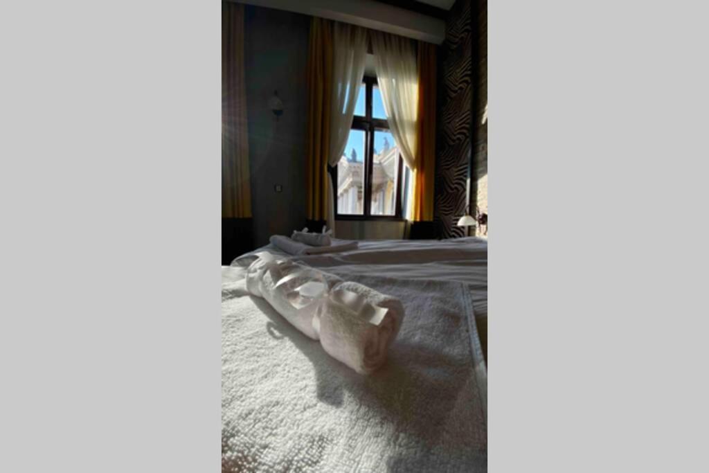 Safari Royal Apartment Oradea Zewnętrze zdjęcie